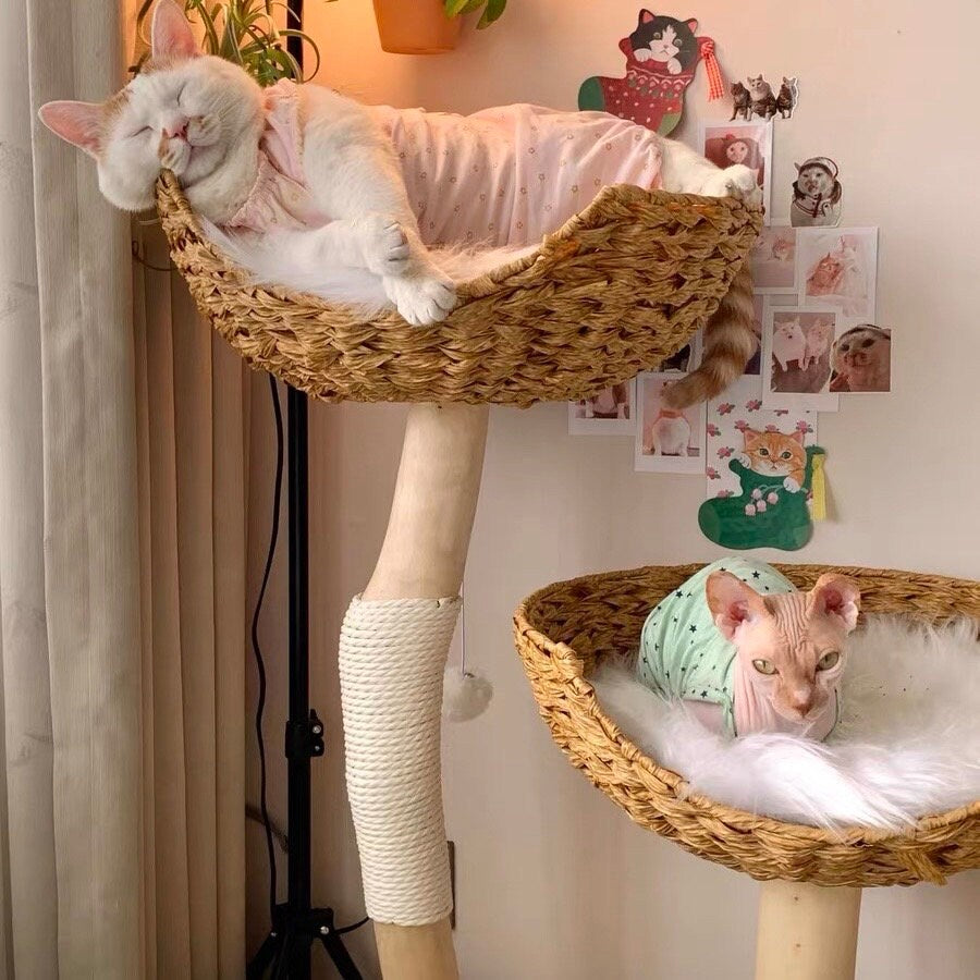 Pet cat tree cat climbing frame small house solid wood simple style high appearance Cat Lover Gift, Cat Furniture, Cat Gift, Furniture Cat