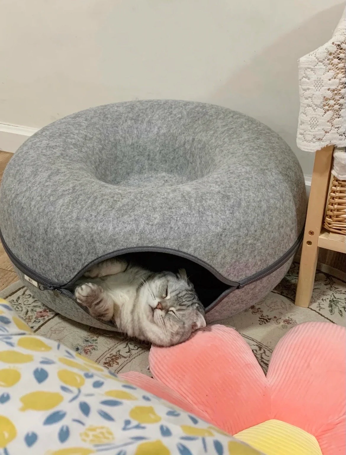 Simple, Atmospheric, Ornate, Cozy Cat Tunnel Nest - Best Cat Toy | Bed for Introverted Cats | Pet Lovers